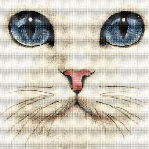 Ayesha__Aftab's profile picture. #ProudMuslim #CatLover #Foodie