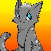 Ashes (@ash_of_sc) 's Twitter Profile