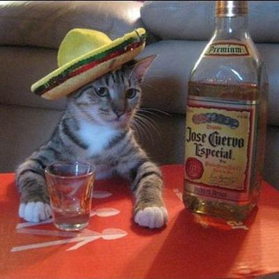 XxJAVIERxX520's profile picture. 
