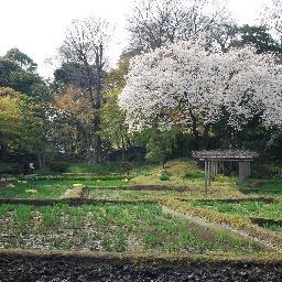 フリーライター｜ビジネストレンド｜投資・マネー・金融系｜オウンドメディア(事例記事など)｜動画コンテンツ分析｜それ以外｜ご連絡はtaro-arii@outlook.jpまでお願いします。