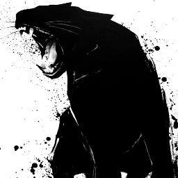 arcus_militis's profile picture. born In colorado