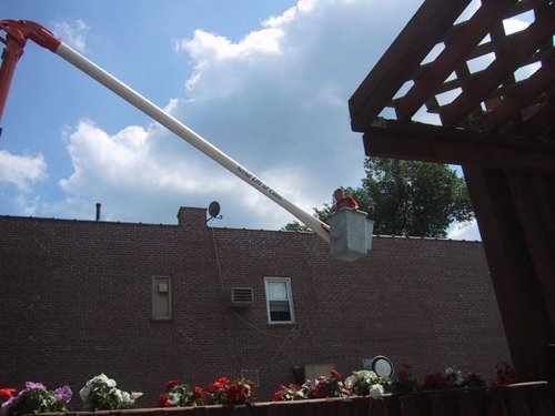 Owensbrostree's profile picture. 