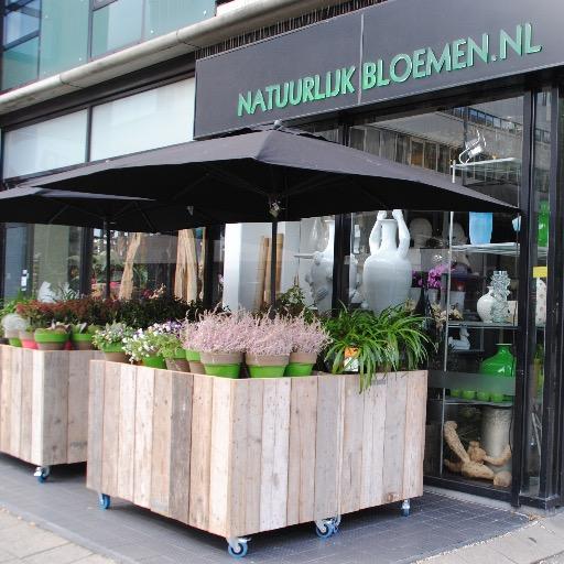 NatuurlijkBloem's profile picture. NatuurlijkBloemen is een bloemenwinkel in het centrum van Rotterdam met bijzondere bloemen, grote vazen, potten. Duurzaam Bloemist Niveau Goud. Euroflorist.