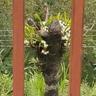 reja_rajendra's profile picture. 