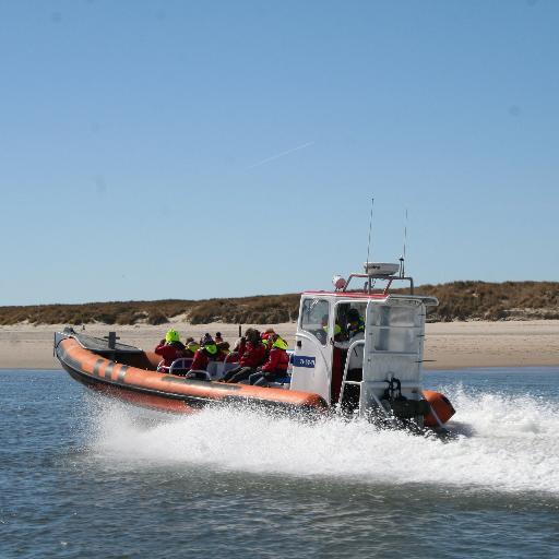 Een unieke belevenis op het Vlielandse Wad voor jong en oud. Met een snelle rubberboot ga je op zoek naar zeehonden.