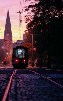 remini_yacine's profile picture. remini