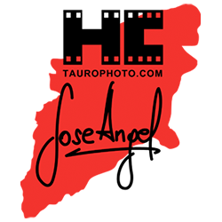 taurophoto Profile Picture