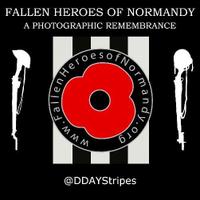 D-DayStripes (@ddaystripes) 's Twitter Profile
