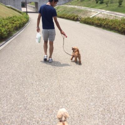 wsymtmy's profile picture. 幡中→東邦→名商