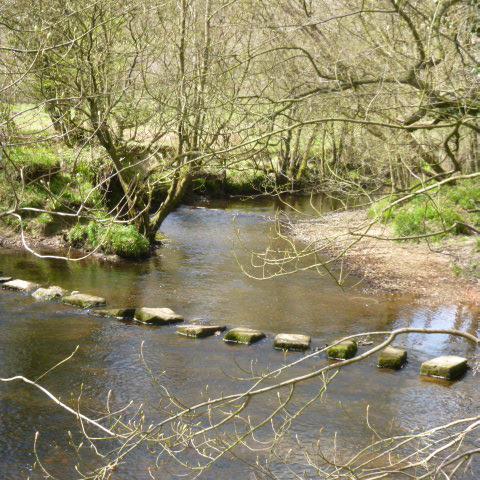 Fly angler and part time blogger , small stream nut for trout and grayling