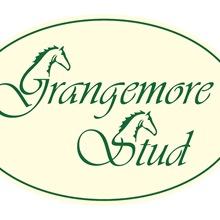 I have been in Grangemore stud since 2014 married to Serena. We hope to breed and sell precocious racehorses that are tough, sound and genuine.