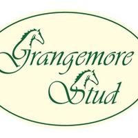 Grangemore Stud(@guy_oc) 's Twitter Profile Photo