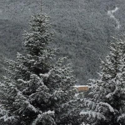 Empresari, amant de la natura, l’esqui i la muntanya