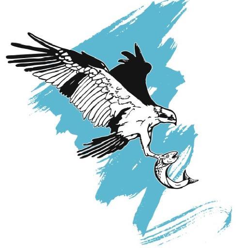 Osprey Seafood has been purveying and delivering top tier quality seafood to the bay area for over 30 years!
http://t.co/Ly4IFG4dl8