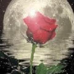 rosalunagarcia's profile picture. Intereses: traductología, neología y terminología.
Directora del Centro de Terminología de la URP. Administradora del Buzón neológico multilingüe peruano.