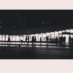 BestPhotoQuotes's profile picture. 