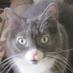 The Stainless Steel Cat (@steelcat) Twitter profile photo The Stainless Steel Cat (@steelcat) Twitter profile photo