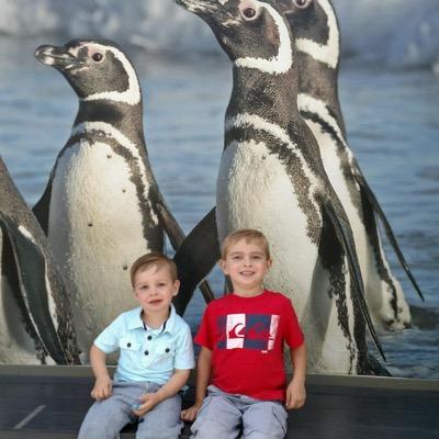 DunnBrady's profile picture. 