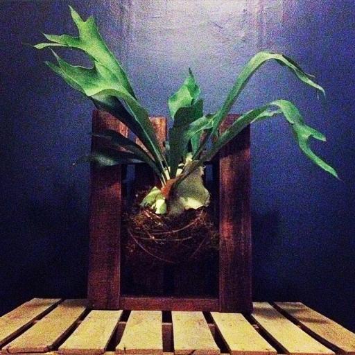 Eastbrookcreate's profile picture. East Brook Creations is a small, local, artistic collective. We are earth conscious using many recycled materials in order to create our pieces of art.