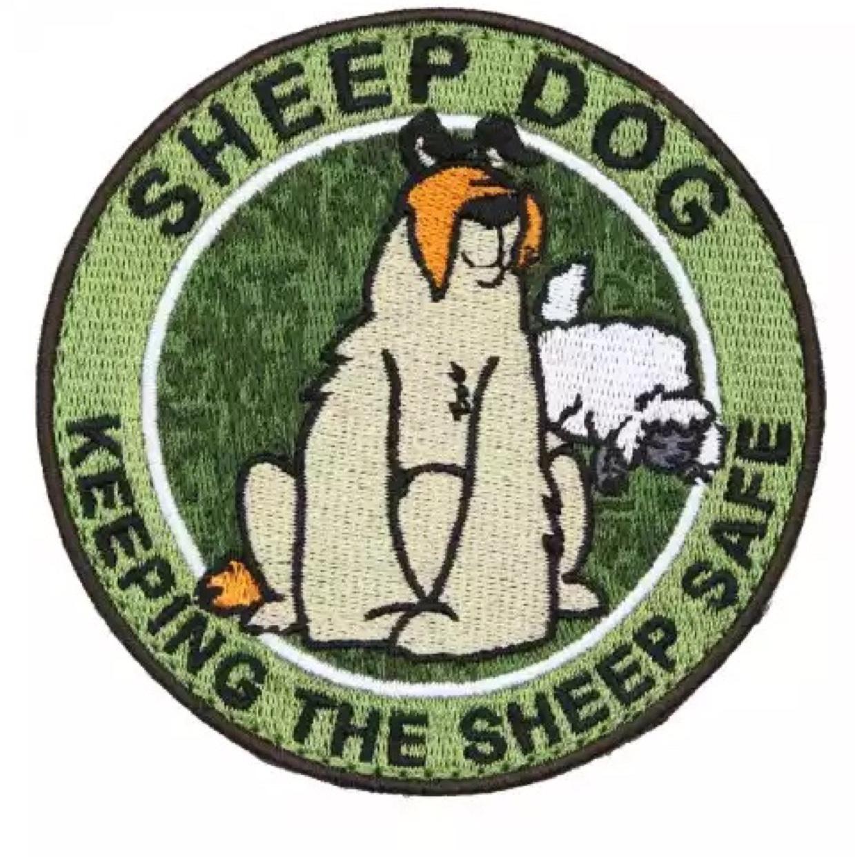 People don't know about the things I say and do, They don't understand about the shit that I've been through. Sheepdog.