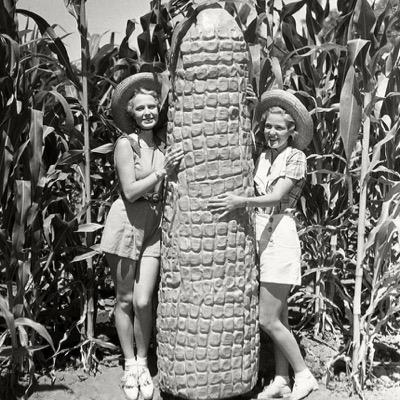 goodyhog's profile picture. 