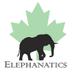 ELEPHANATICS (@elephanaticsbc) Twitter profile photo ELEPHANATICS (@elephanaticsbc) Twitter profile photo