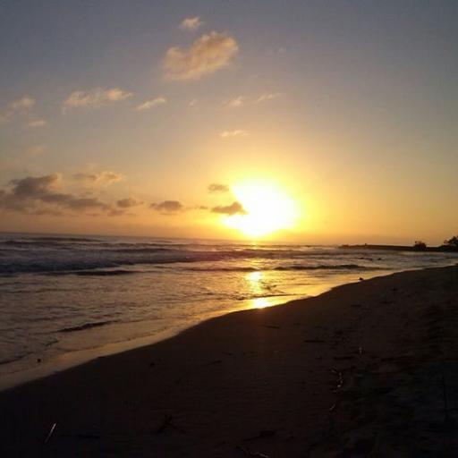 1234alejandro0's profile picture. 