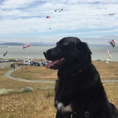 TurntNora's profile picture. 