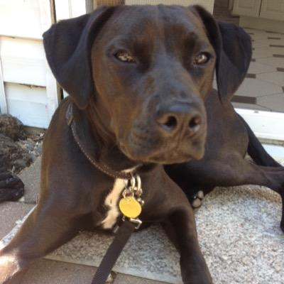 crazyvibes101's profile picture. ◾️▪️okay▪️◾️