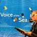 Voice of the Sea TV (@VoiceoftheSeaTV) Twitter profile photo