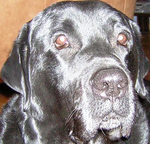 miabeguiristain's profile picture. Life, liberty, and the pursuit of awesome music!