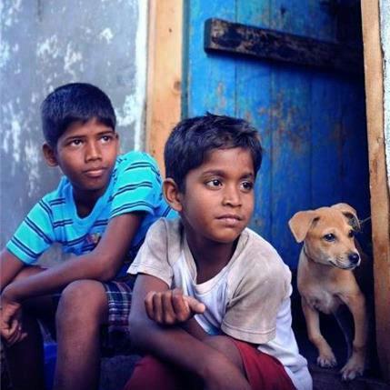 Kaaka Muttai is a 2014 Indian Tamil-language film written, directed and filmed by M. Manikandan. The film was jointly produced by Dhanush and Vetrimaaran,