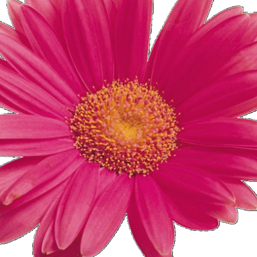 gistwithgeorgia's profile picture. Desperately Seeking More Happiness