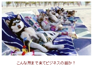 興味の無いことに対しては徹底的に適当なさそり座のA型。本読み・マンドリン弾き・歴史好き。