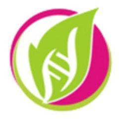 lchspltd's profile picture. 