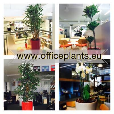 Supplying & caring for plants in offices. Can you dig it? We're creating a greener more environmentally friendly office.