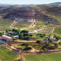 Pago Calzadilla (@pagocalzadilla) 's Twitter Profile