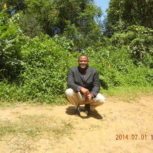 owieselfaki's profile picture. 