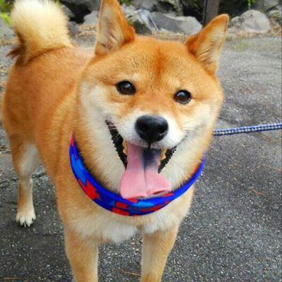 石渡 直子 Yuzubonn Twitter 石渡 直子 Yuzubonn Twitter