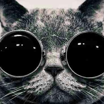 AutomatcFalcon's profile picture. I am scrry