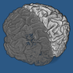 Stijn Michielse, PhD (@stijnimaging) Twitter profile photo Stijn Michielse, PhD (@stijnimaging) Twitter profile photo