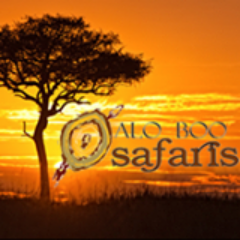 Aloboo is a name derived from the Maasai tribe meaning ‘stepping/going out’.We offers Tours and Travel products for both Leisure and Business worldwide.