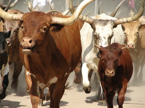 GatewayPRSA's profile picture. Photo Bug