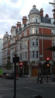 estelleberti's profile picture. 