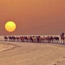 ابو عبدالله (@01c4b6b0b03848a) Twitter