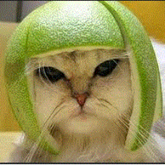 byakugan_rinne's profile picture. 