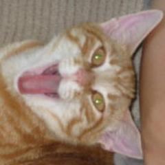 bmbull's profile picture. "Turn it on, turn it up, turn me loose."