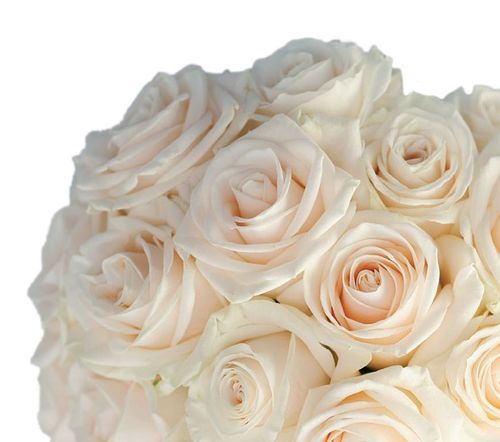 Flowers & Sparkle will give your wedding the WoW factor. For wedding & bridal flowers, to centrepieces to bouquets