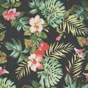 Martii_Caceres O.o (@232c2b68c05e4d4) Twitter