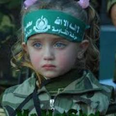 1Datasoft's profile picture. 